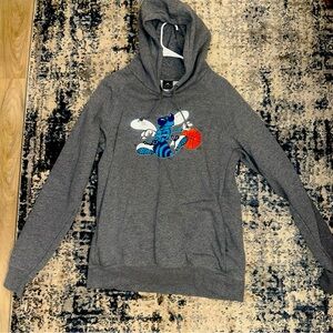 Charlotte Hornets Jordan Hoodie Size Large